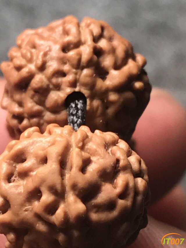 6瓣扇面盘龙小金刚菩提手串 18 1 直径1.3 (9).jpg