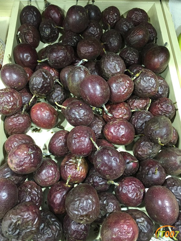 百香果 16 一公斤.jpg