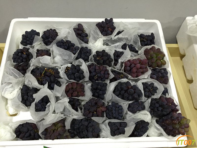 茉莉香葡萄 24 一公斤.jpg