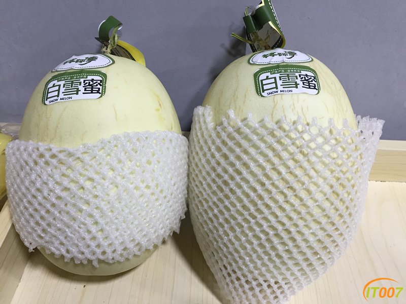 台湾白雪蜜甜瓜 33 一公斤.jpg