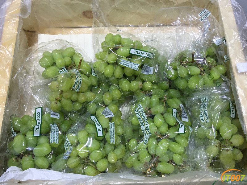 智利青提 45 一公斤.jpg