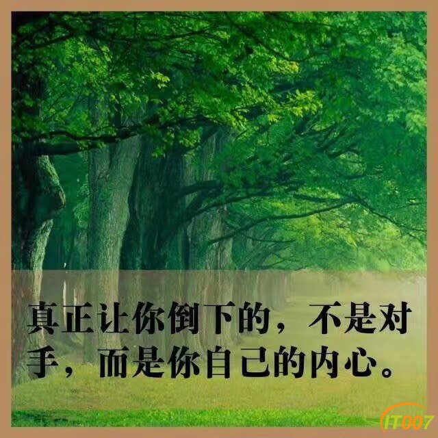 151415nfnj619rr0hrr11q.jpg