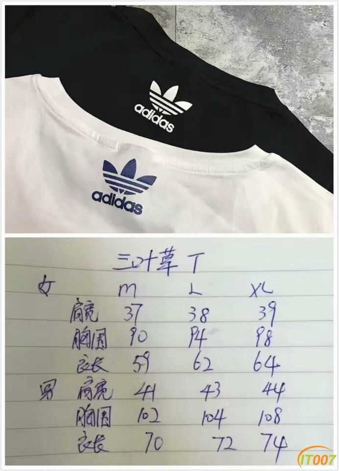 C6.jpg