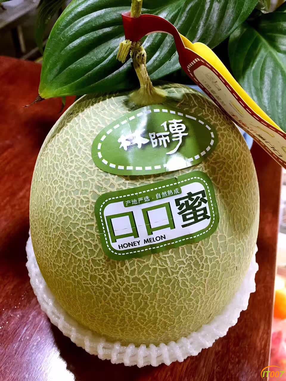 口口蜜 (2).jpg