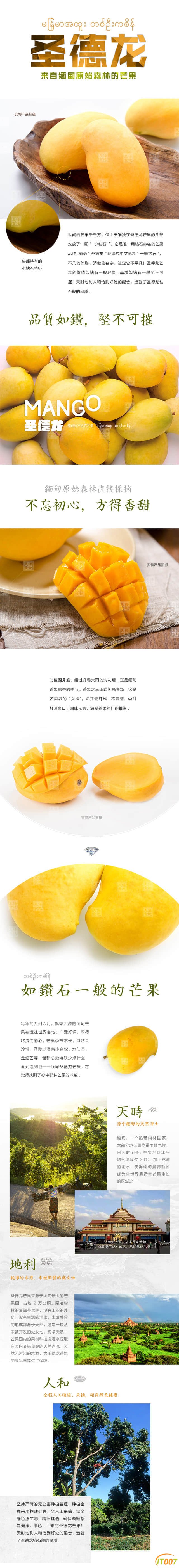 芒果介绍1.jpg