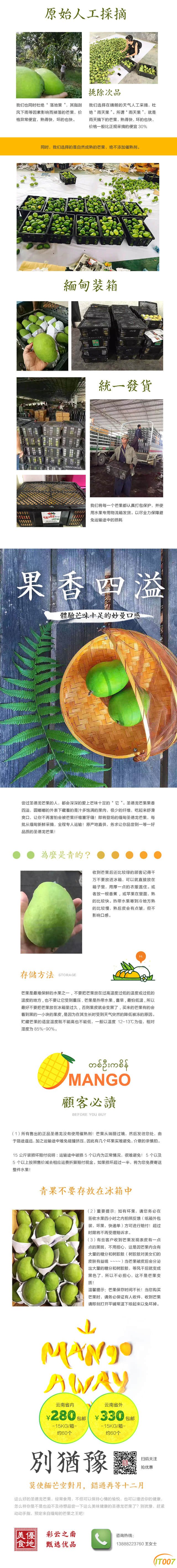 芒果介绍2.jpg
