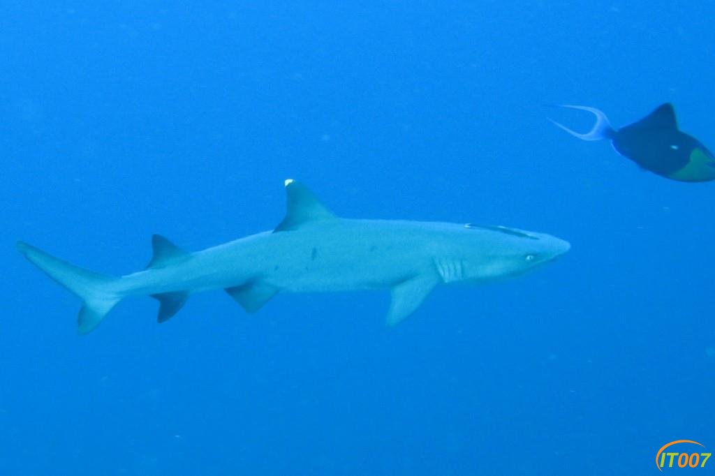IMG_7559_副本.jpg