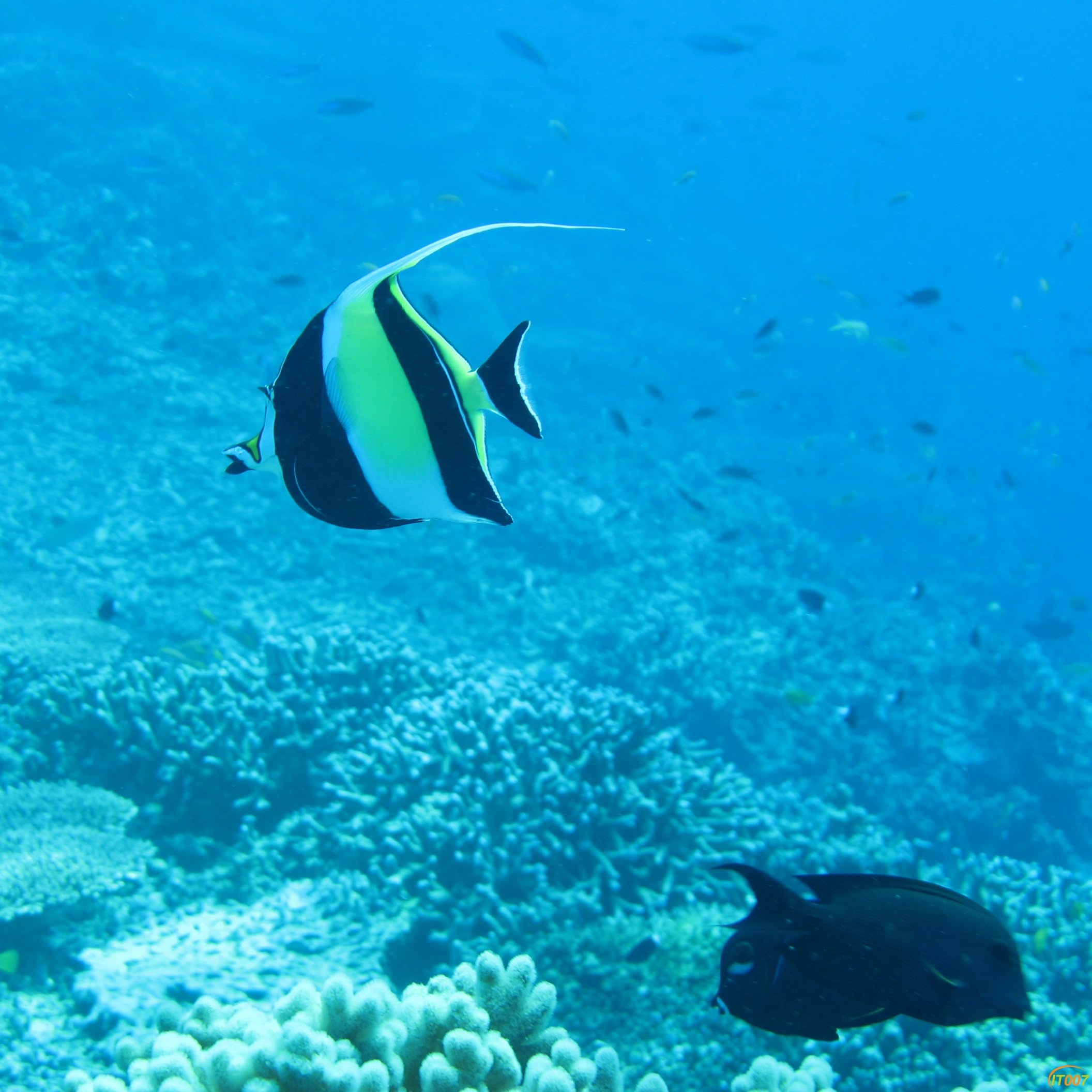 IMG_7585.JPG