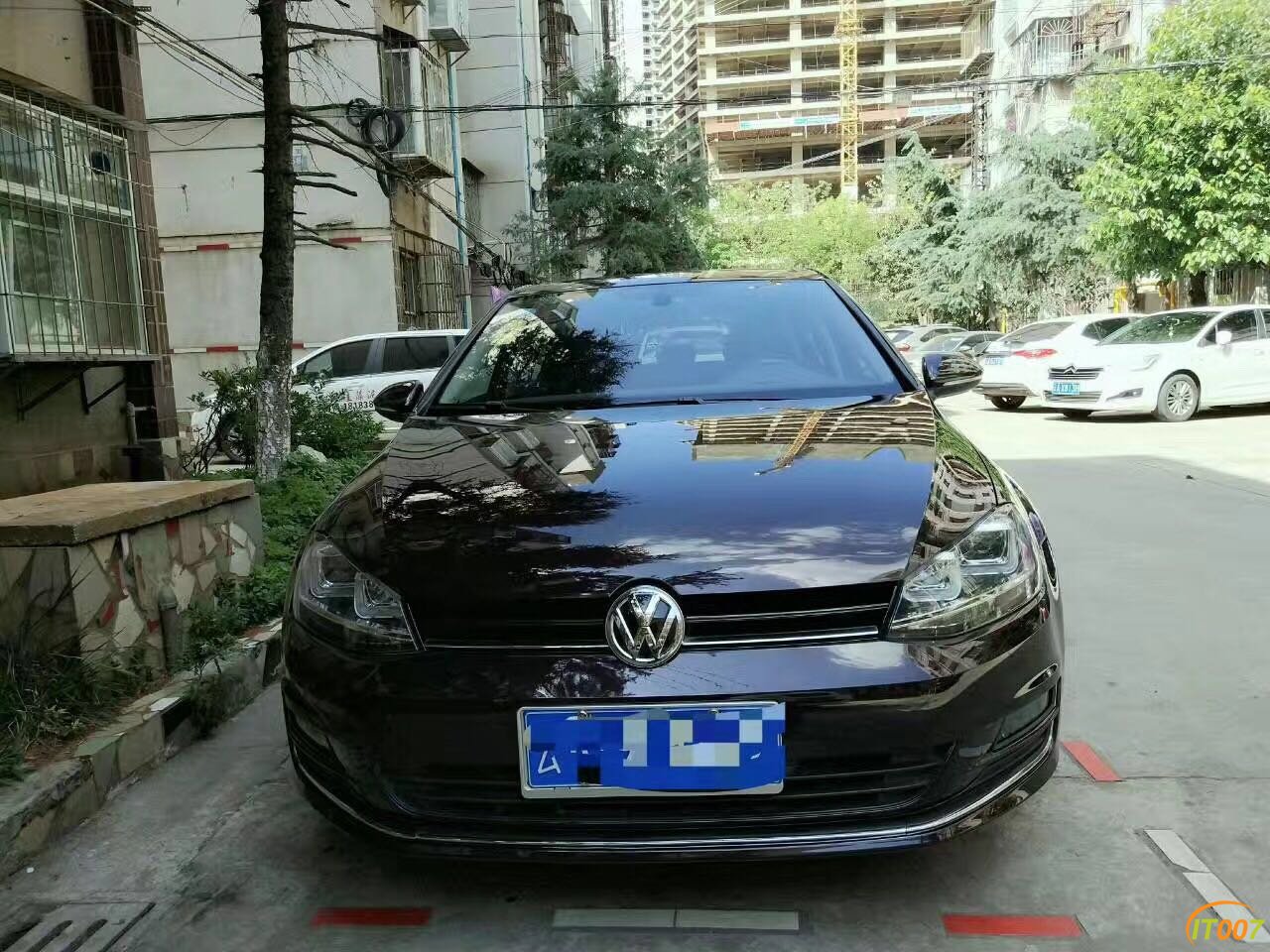 504987473119496289.jpg