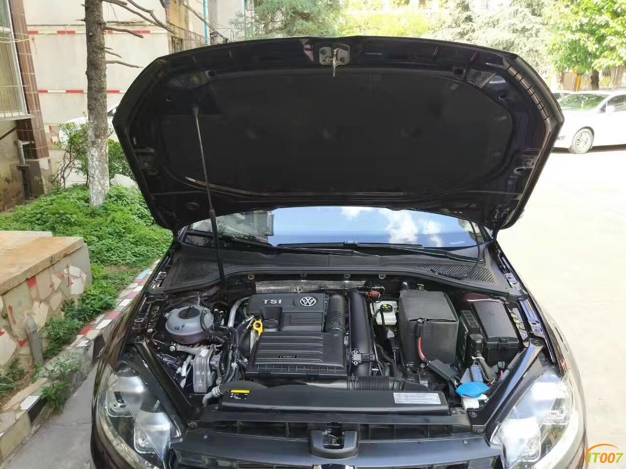 739500547540637393.jpg