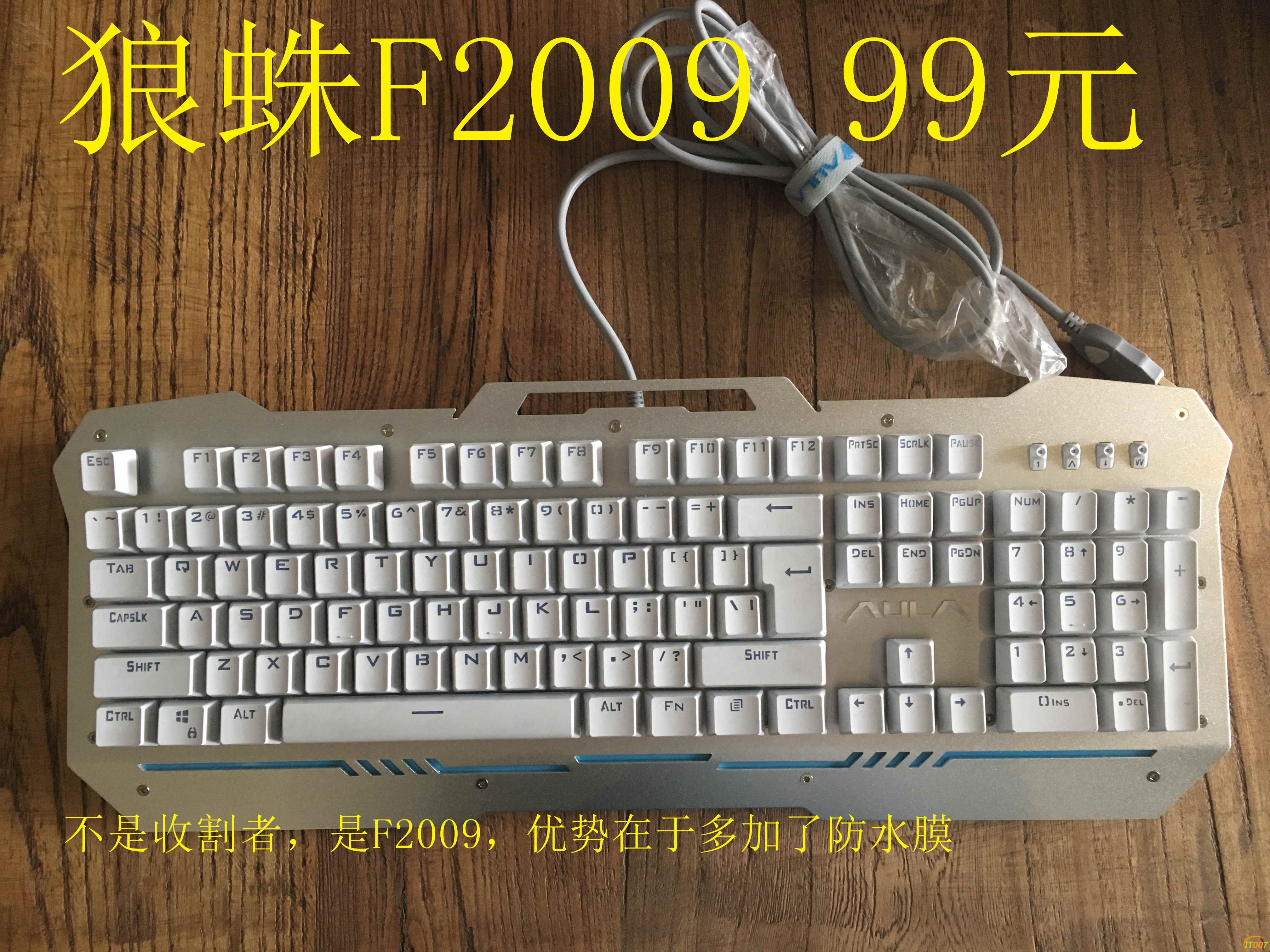 狼蛛2009白正.jpg