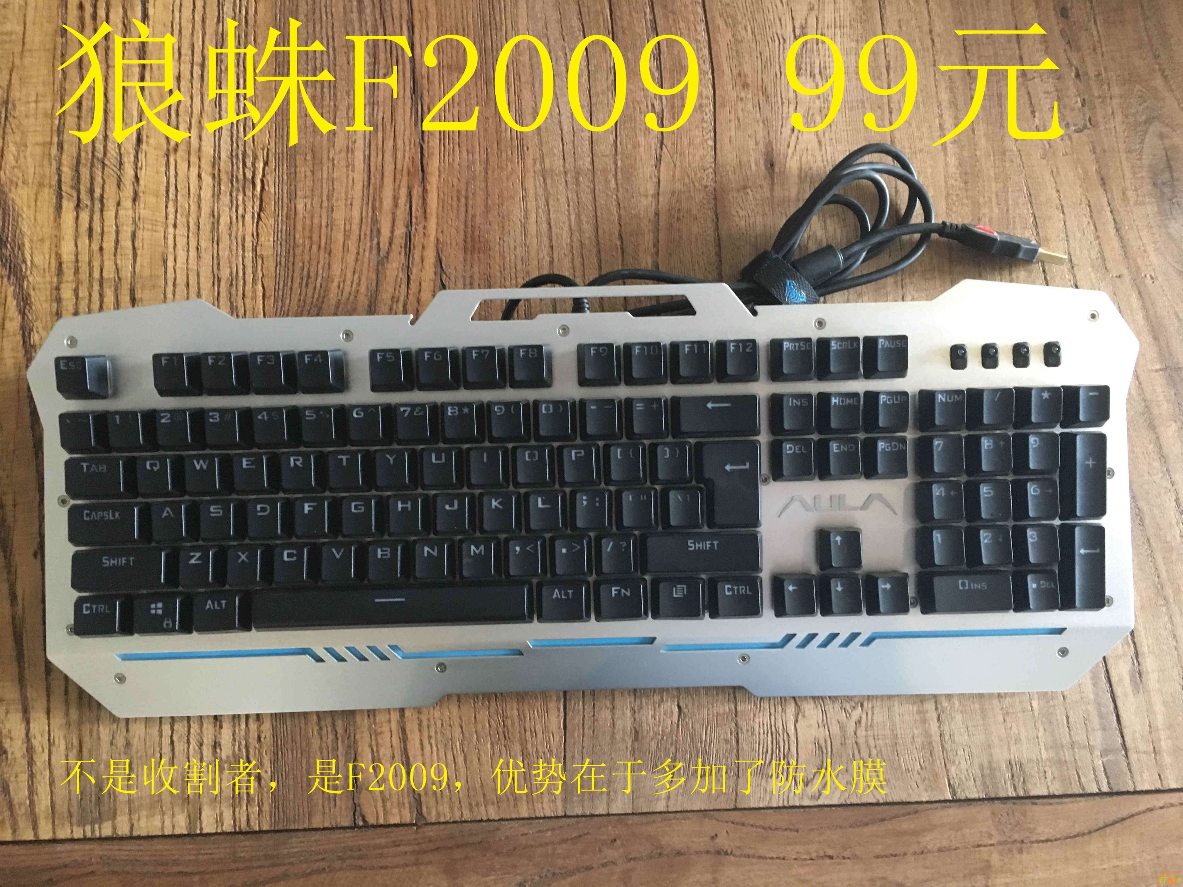 狼蛛2009黑正.jpg
