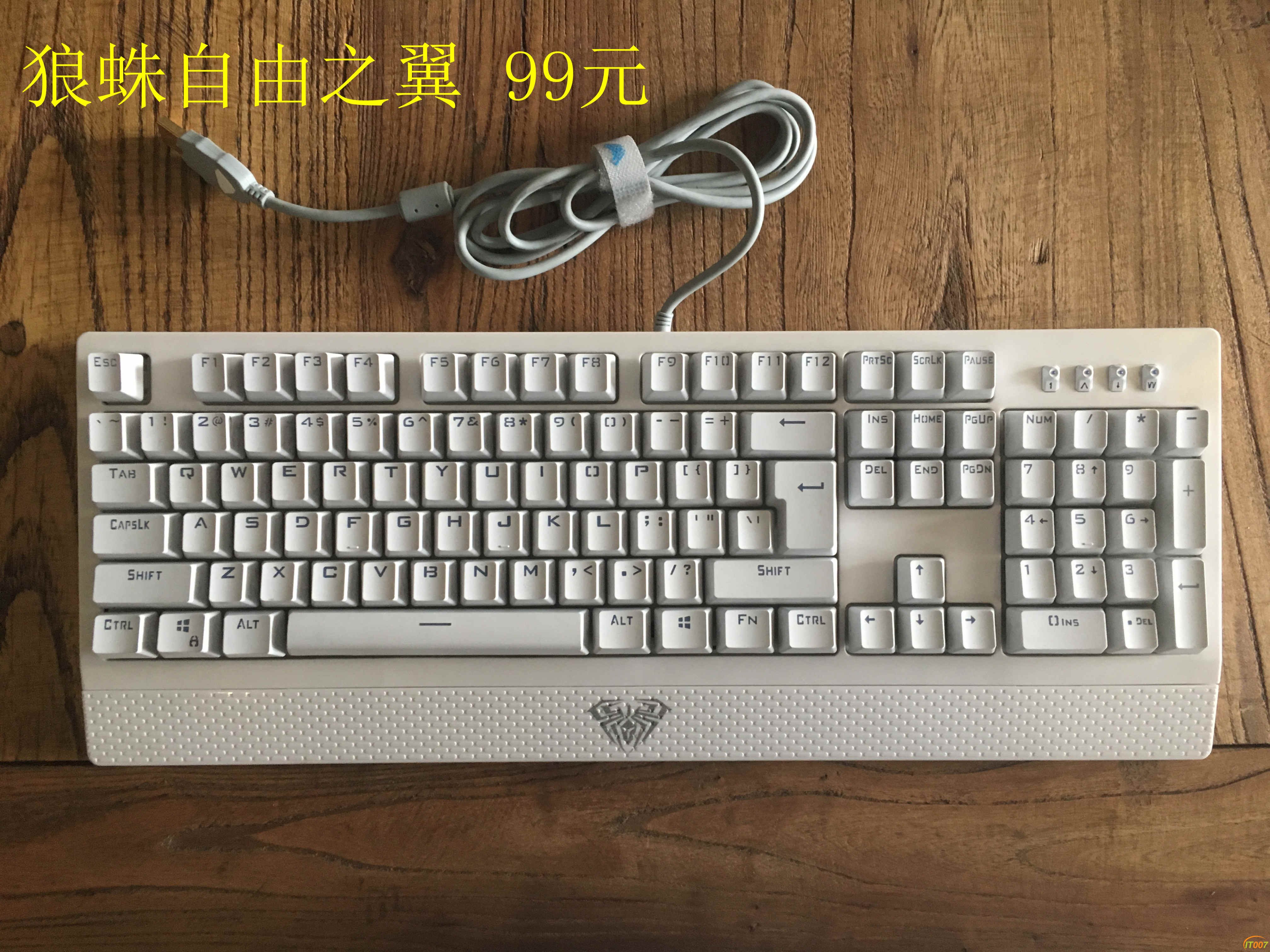 狼蛛自由之翼白正.jpg
