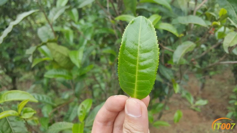 20170510_145824.jpg