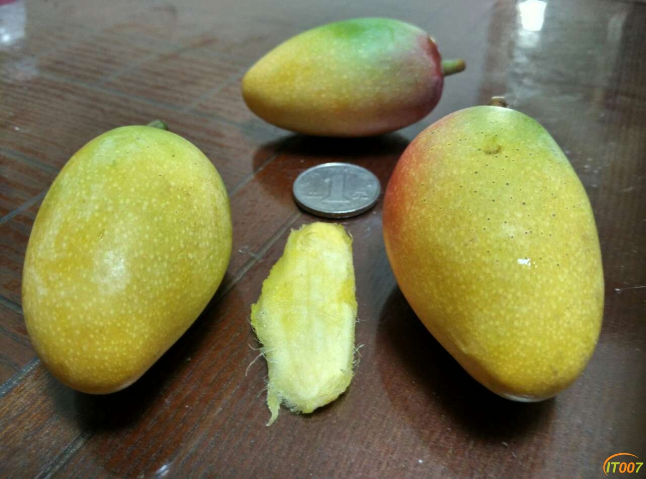 44.jpg