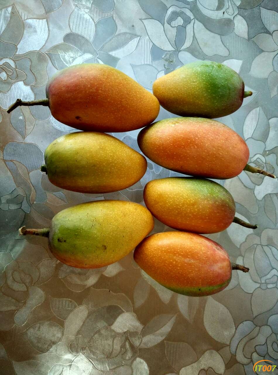78.jpg