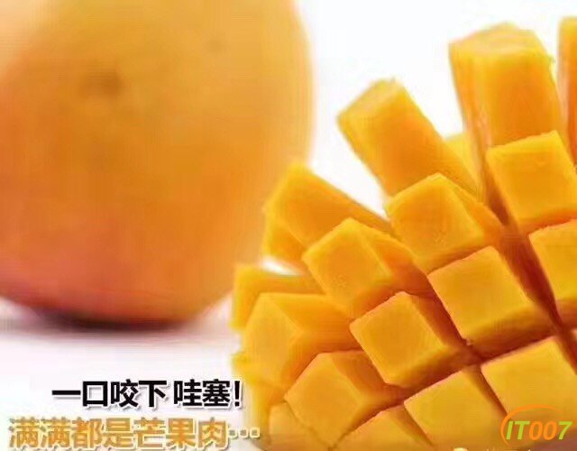 084722mlqppmzwnqlqrvmr.jpg