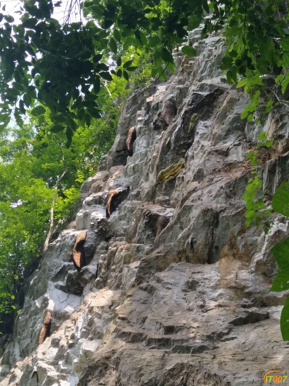 自己看这种环境