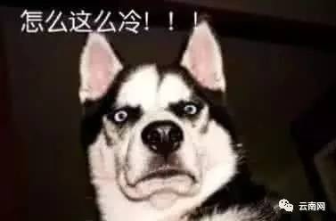 0GxWCzSKjO