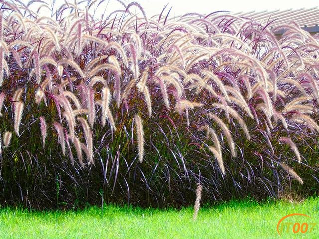 31e80002d232459ce02b