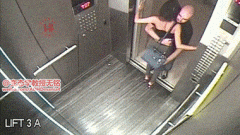 7.gif