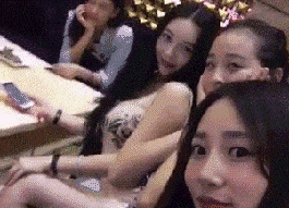11.gif