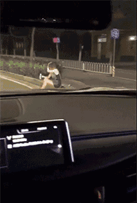 17.gif