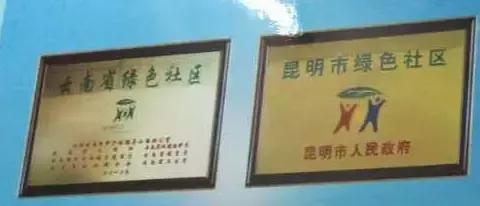 31dc00053cd5abcb9490