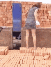 7.gif