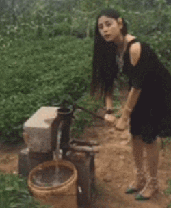 12.gif