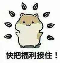 0H08tfGkFZ