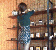 5.gif