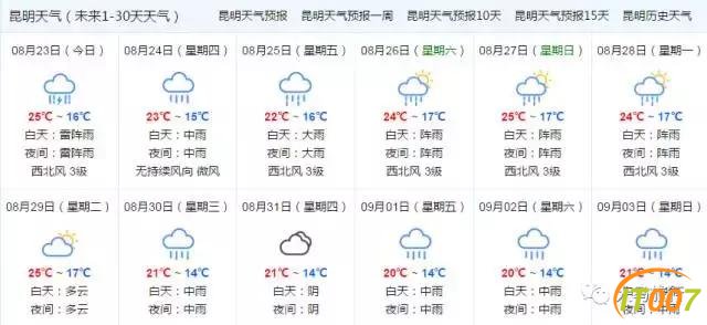 37c700029dcfd5cdf6ca