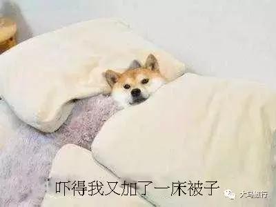 37c90002a49d24f5a690