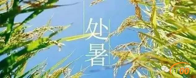 37cd0000cdbd287d6cc2
