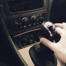 16.gif