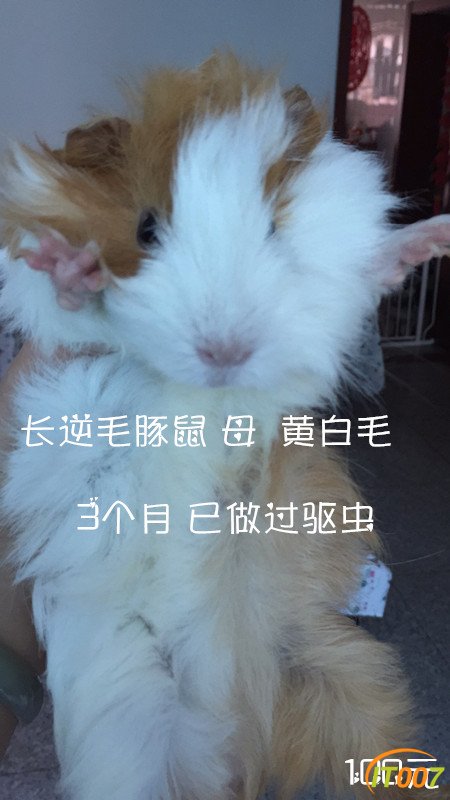 405172691493695435_副本.jpg