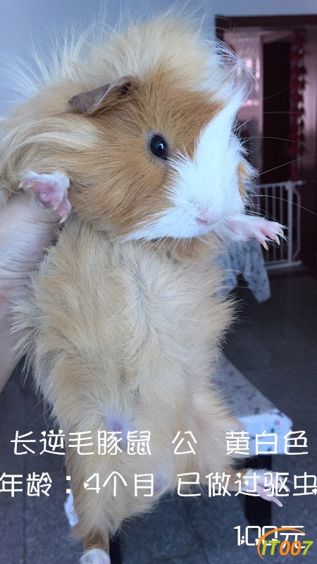 60011538777370159_副本.jpg