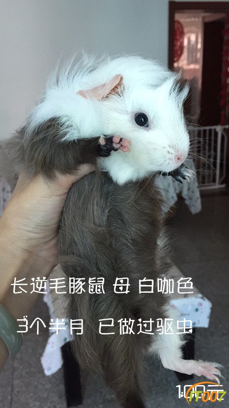 530006237581890343_副本.jpg