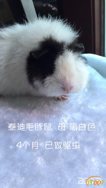 555826034713743209_副本.jpg