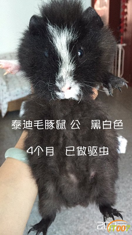 512309432969146461_副本.jpg