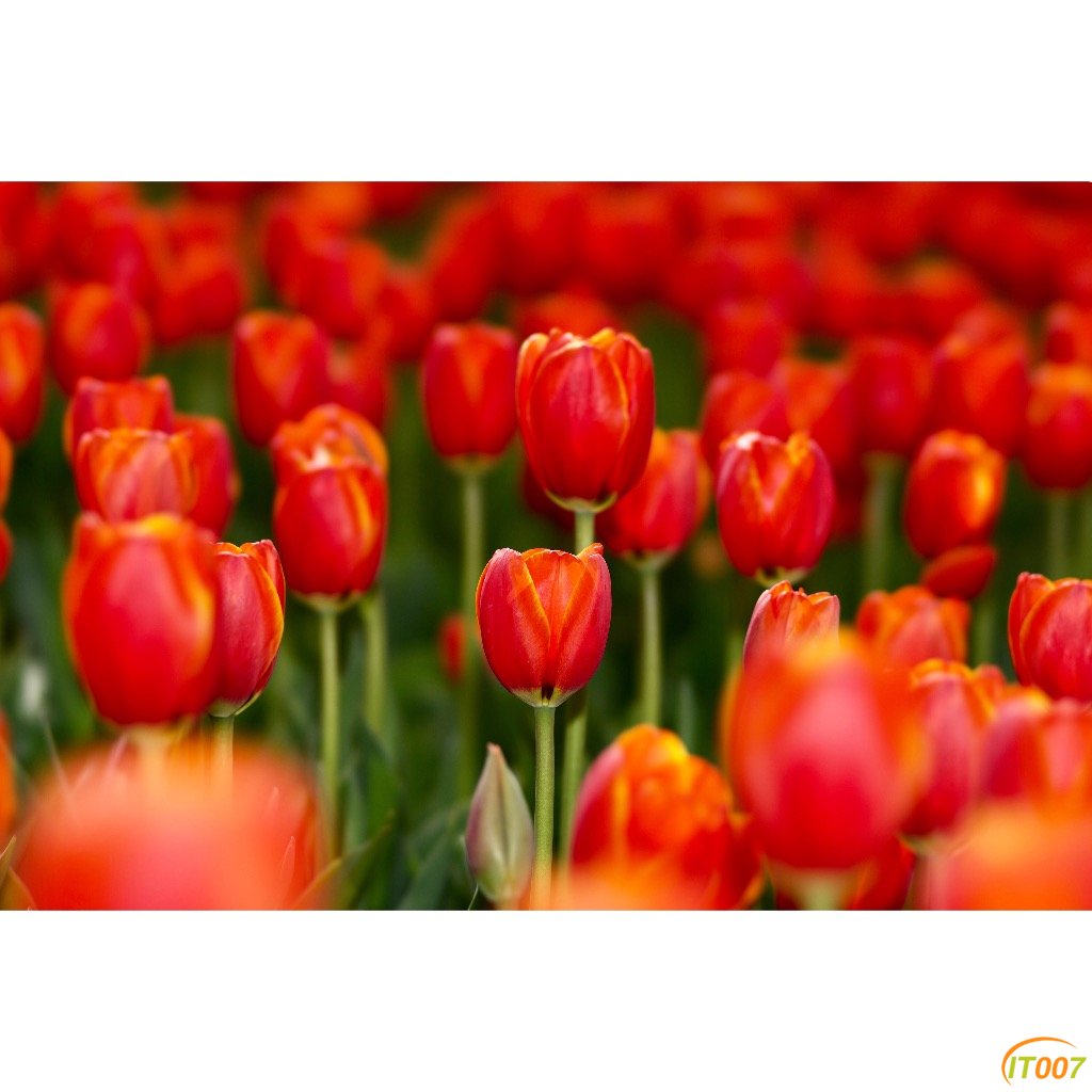 AED62C63-069D-4EC3-98A2-5E8E51AD1828.jpeg