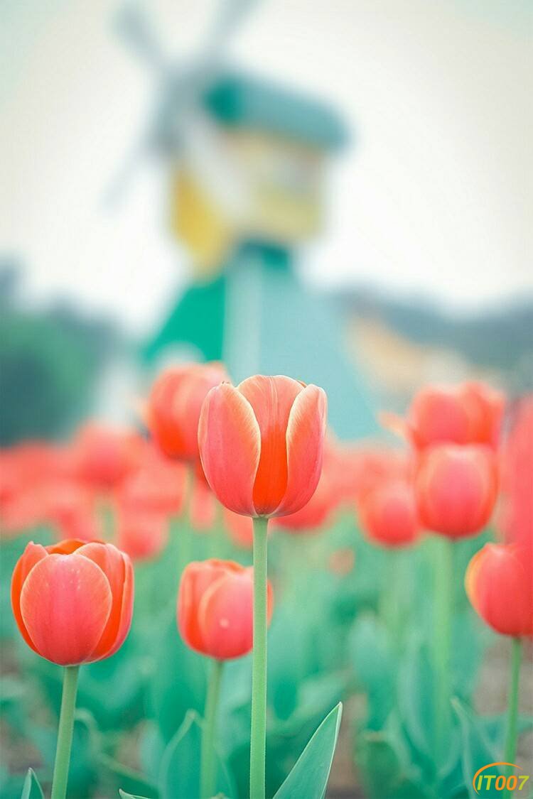 150533n7qiqoqnwj0wnwjv.jpg
