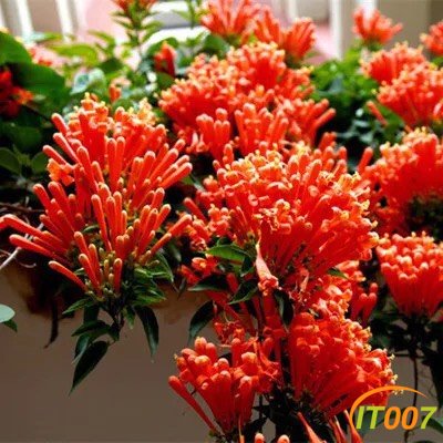 142015uioo5di00g2ois71.jpg