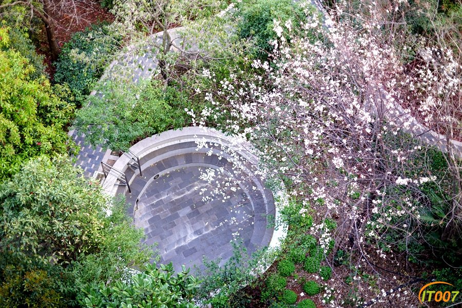 CLF01993.JPG