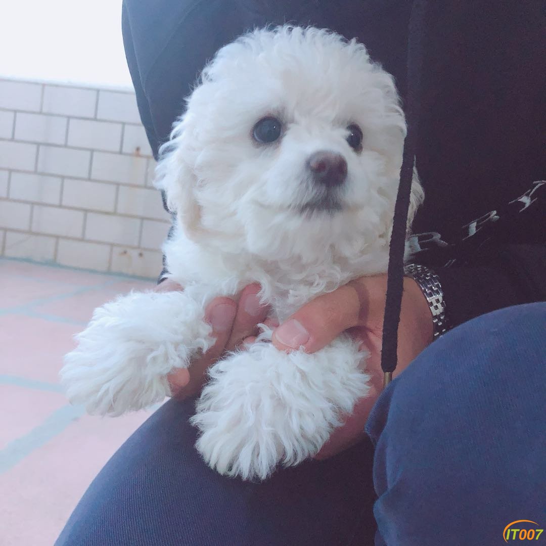 微信图片_20180409090627.jpg
