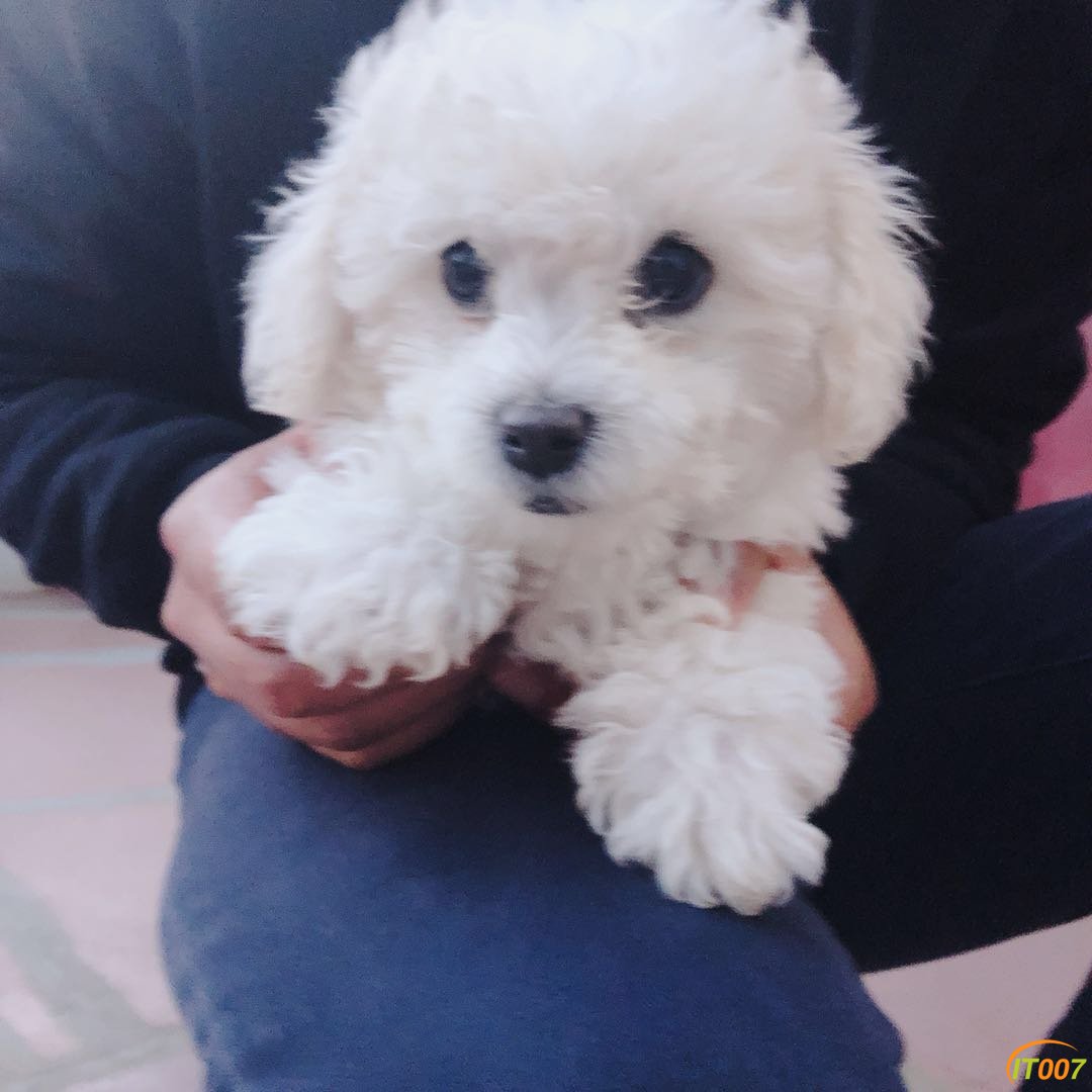 微信图片_20180409090641.jpg