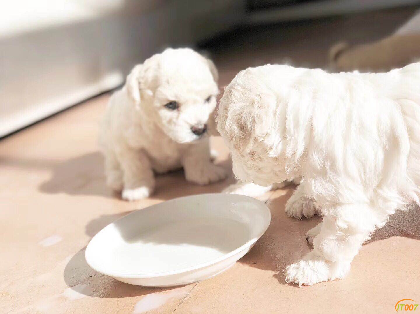 微信图片_20180409090650.jpg