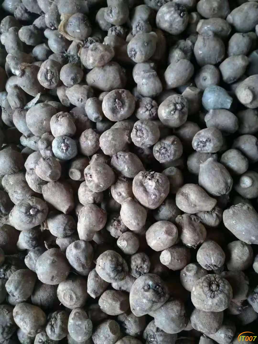 微信图片_201810291127133.jpg