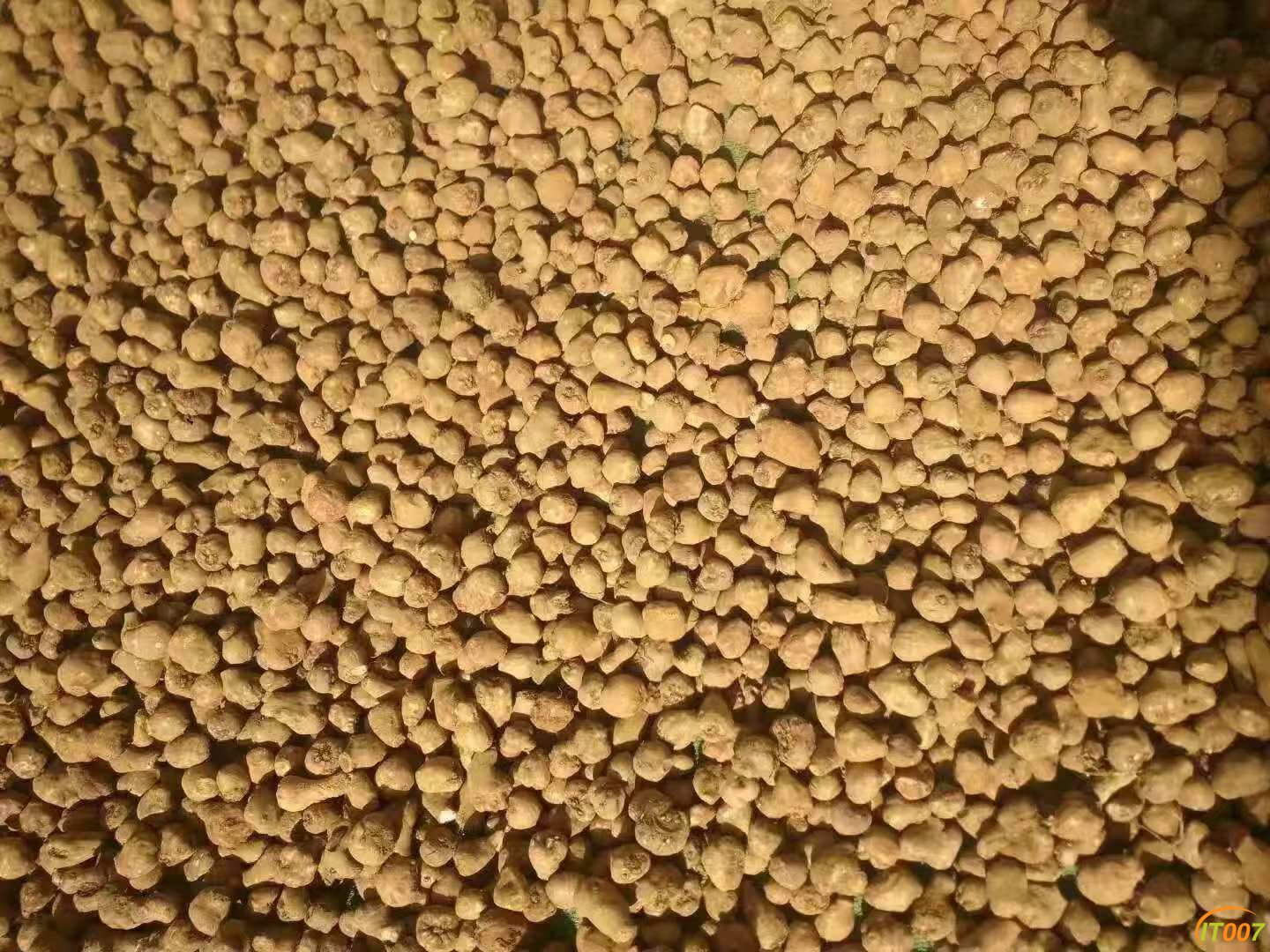 微信图片_201810291127135.jpg